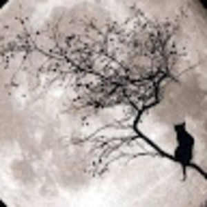 Meet your Posher, Ruth